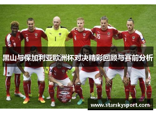 黑山与保加利亚欧洲杯对决精彩回顾与赛前分析